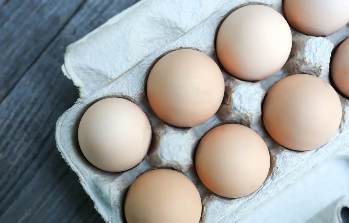 Read more about the article Hati-Hati! Jalani Diet Telur Risikonya Tinggi