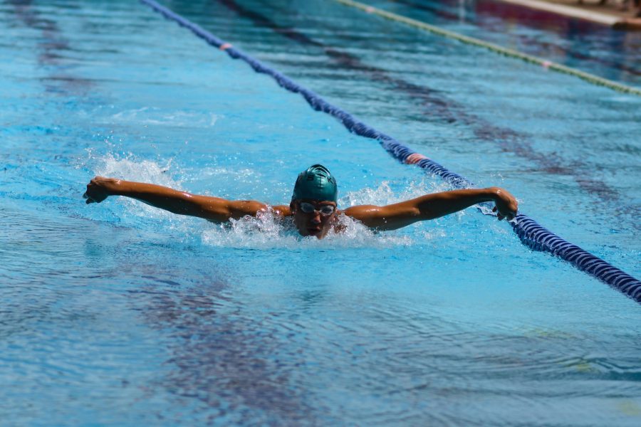 Read more about the article Olahraga Berenang Berikan Manfaat Bagi Kesehatan Paru-paru